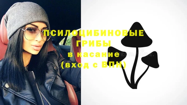 PSILOCYBIN Богородицк