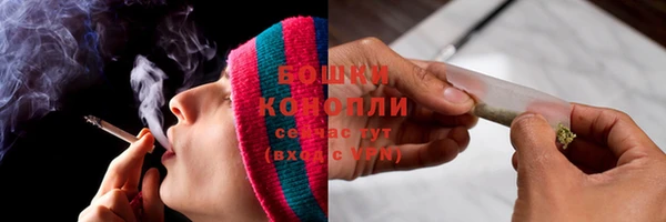 дмт Богородск
