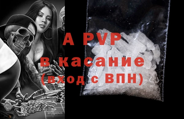 PSILOCYBIN Богородицк