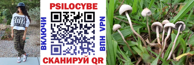 Псилоцибиновые грибы мухоморы  купить  сайты  Нурлат 